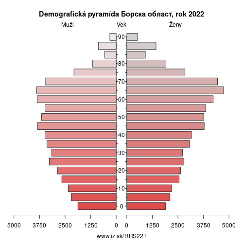demograficky strom RS221 Борска област demografická pyramída