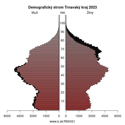 demograficky strom SK021 Trnavský kraj demografická pyramída