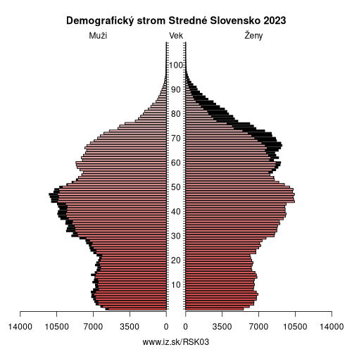 demograficky strom SK03 Stredné Slovensko demografická pyramída