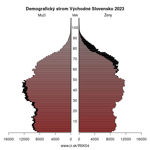 demograficky strom SK04 Východné Slovensko demografická pyramída