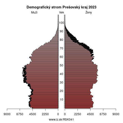 demograficky strom SK041 Prešovský kraj demografická pyramída