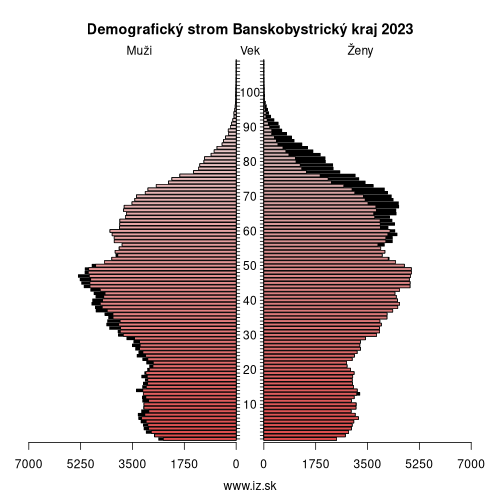 demo­grafická pyramída Banskobystrický kraj 2023