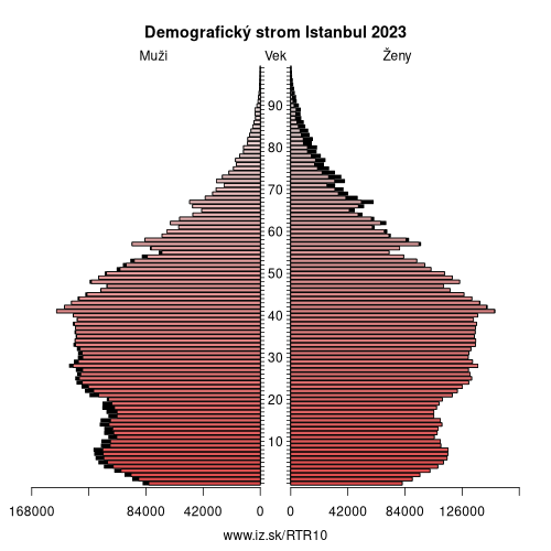 demograficky strom TR10 Istanbul demografická pyramída