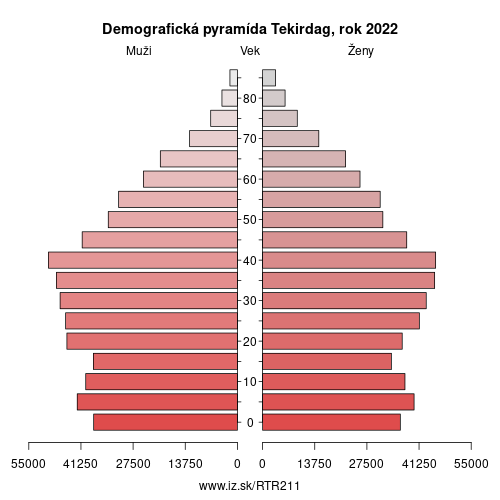demograficky strom TR211 Tekirdag demografická pyramída