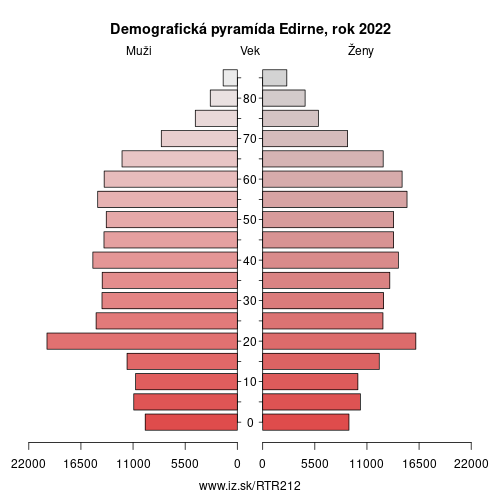 demograficky strom TR212 Edirne demografická pyramída