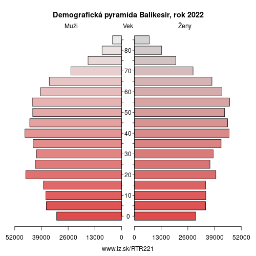 demograficky strom TR221 Balikesir demografická pyramída