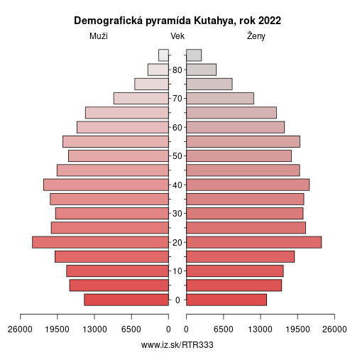 demograficky strom TR333 Kutahya demografická pyramída