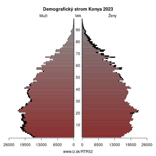 demograficky strom TR52 Konya demografická pyramída