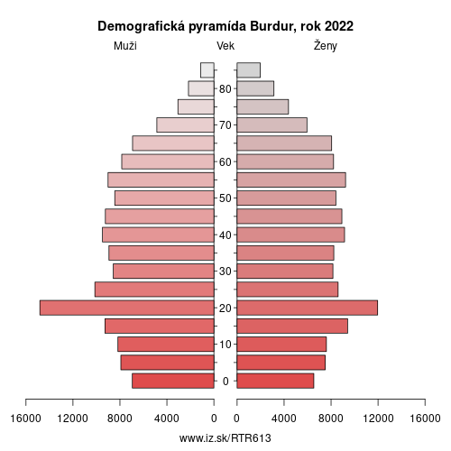 demograficky strom TR613 Burdur demografická pyramída