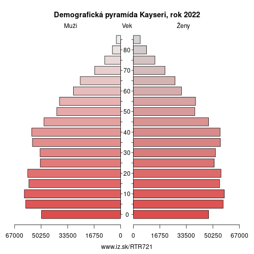 demograficky strom TR721 Kayseri demografická pyramída