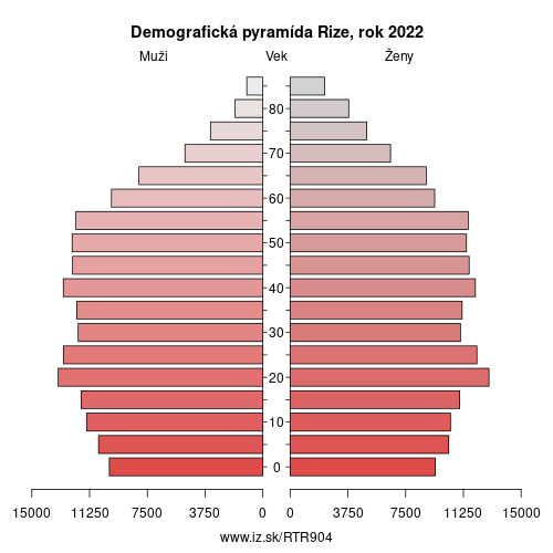 demograficky strom TR904 Rize demografická pyramída