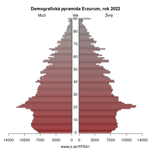 demograficky strom TRA1 Erzurum demografická pyramída