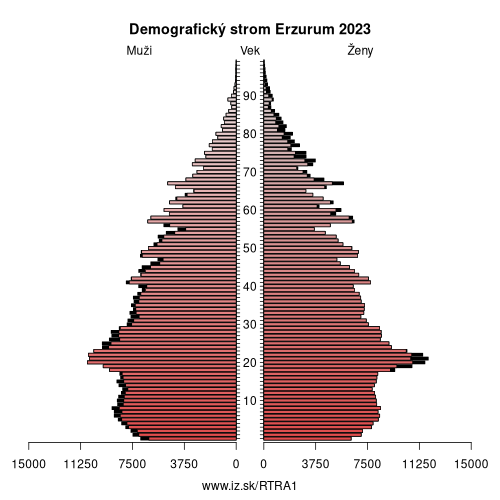 demograficky strom TRA1 Erzurum demografická pyramída