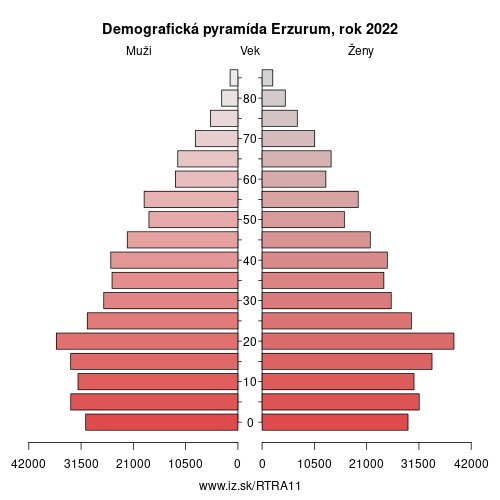 demograficky strom TRA11 Erzurum demografická pyramída