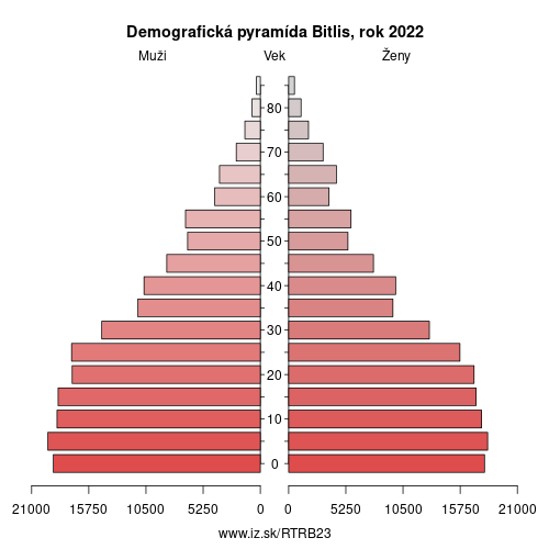 demograficky strom TRB23 Bitlis demografická pyramída