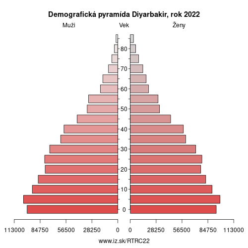 demograficky strom TRC22 Diyarbakir demografická pyramída