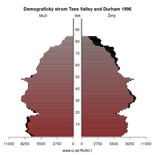 demograficky strom UKC1 Tees Valley and Durham 1996 demografická pyramída