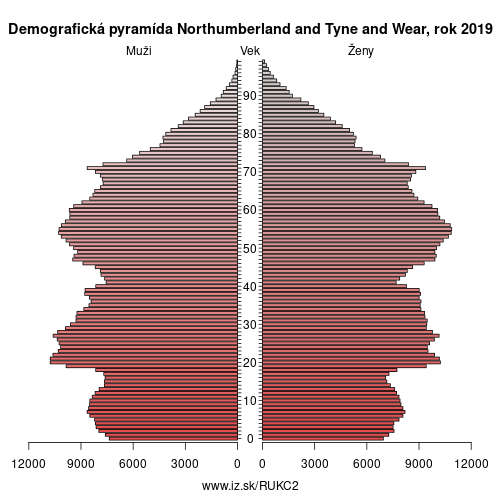 demograficky strom UKC2 Northumberland and Tyne and Wear demografická pyramída