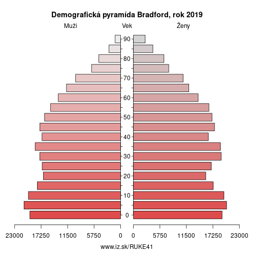 demograficky strom UKE41 Bradford demografická pyramída
