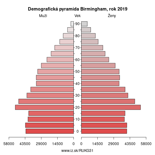 demograficky strom UKG31 Birmingham demografická pyramída