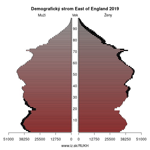 demograficky strom UKH East of England demografická pyramída