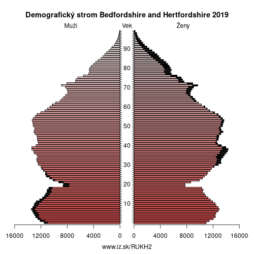 demograficky strom UKH2 Bedfordshire and Hertfordshire demografická pyramída