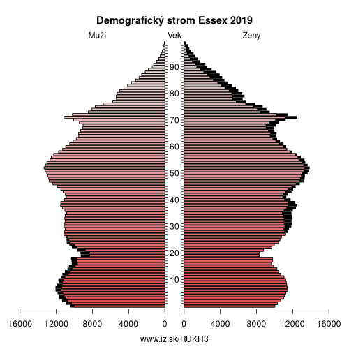 demograficky strom UKH3 Essex demografická pyramída