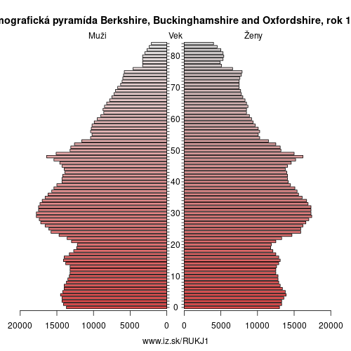 demograficky strom UKJ1 Berkshire, Buckinghamshire and Oxfordshire 1996 demografická pyramída