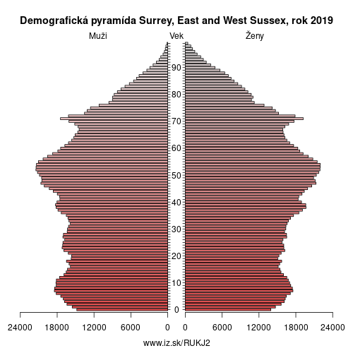 demograficky strom UKJ2 Surrey, East and West Sussex demografická pyramída
