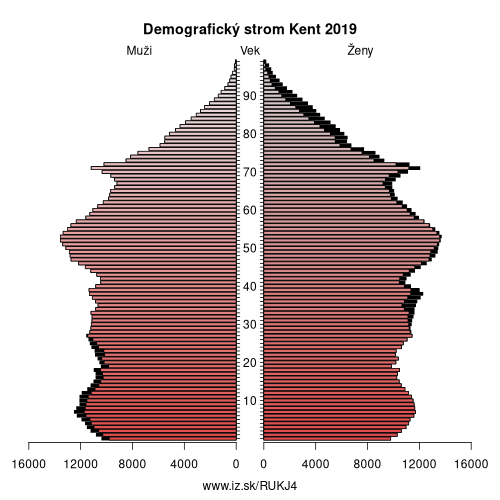 demograficky strom UKJ4 Kent demografická pyramída