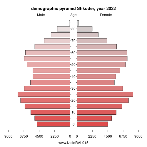 demographic pyramid AL015 Shkodër