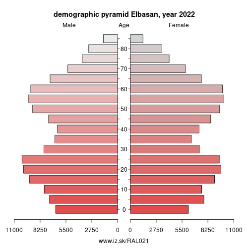 demographic pyramid AL021 Elbasan