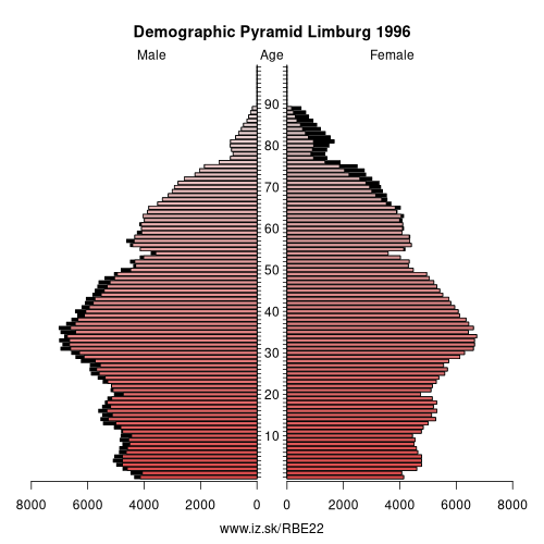 demographic pyramid BE22 1996 Limburg, population pyramid of Limburg