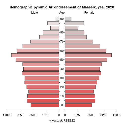 demographic pyramid BE222 Arrondissement of Maaseik