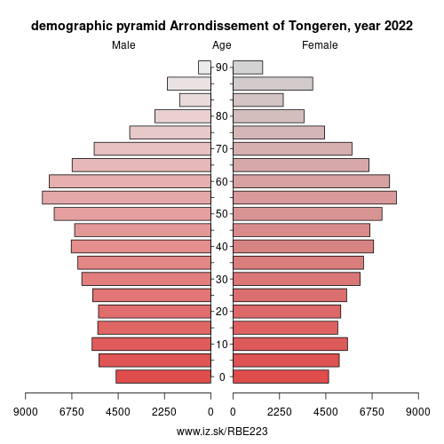demographic pyramid BE223 Arrondissement of Tongeren