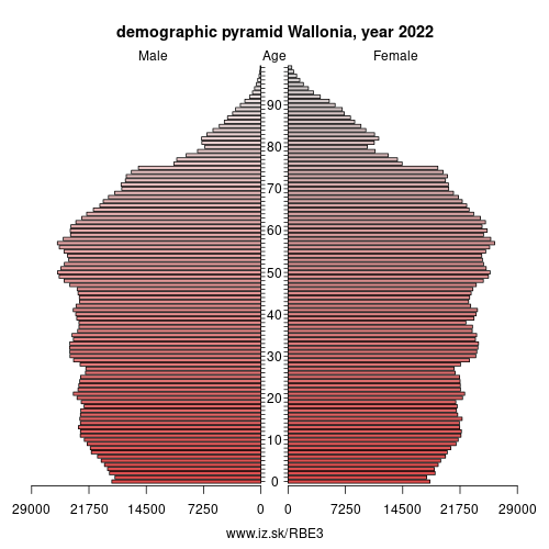 demographic pyramid BE3 Walloon Region