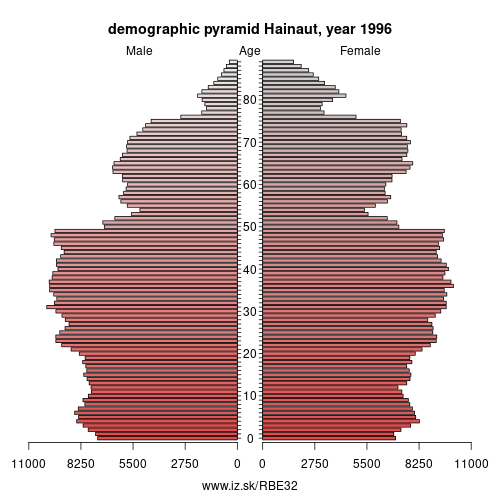 demographic pyramid BE32 1996 Hainaut, population pyramid of Hainaut