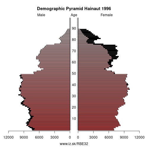 demographic pyramid BE32 1996 Hainaut, population pyramid of Hainaut