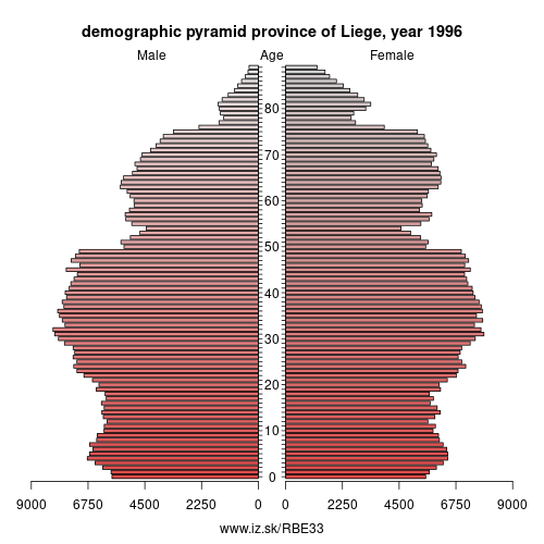 demographic pyramid BE33 1996 province of Liege, population pyramid of province of Liege