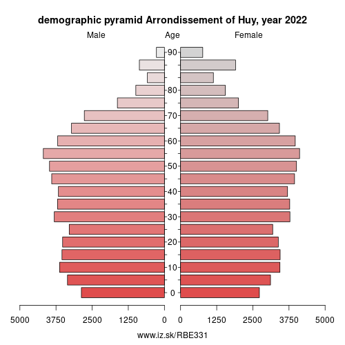 demographic pyramid BE331 Arrondissement of Huy