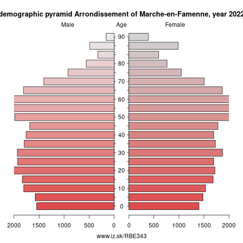 demographic pyramid BE343 Arrondissement of Marche-en-Famenne