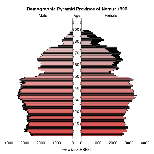 demographic pyramid BE35 1996 Province of Namur, population pyramid of Province of Namur