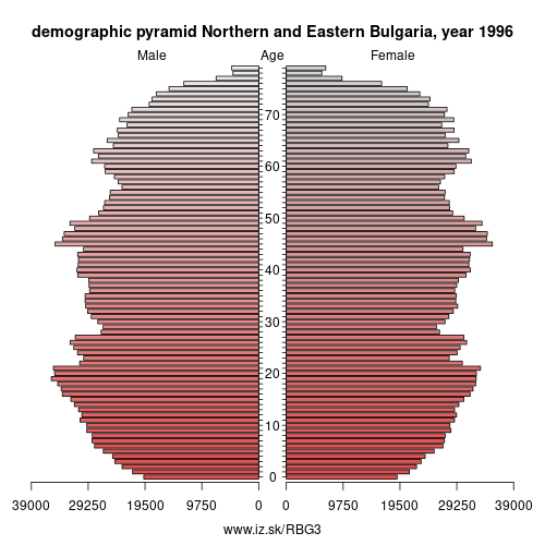demographic pyramid BG3 1996 Northern and Eastern Bulgaria, population pyramid of Northern and Eastern Bulgaria