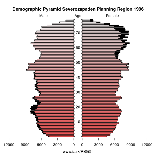 demographic pyramid BG31 1996 Severozapaden Planning Region, population pyramid of Severozapaden Planning Region