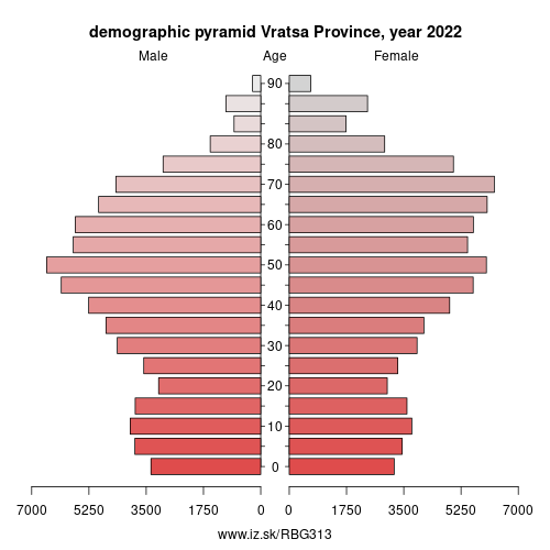 demographic pyramid BG313 Vratsa Province