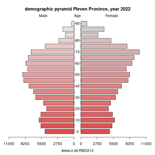 demographic pyramid BG314 Pleven Province