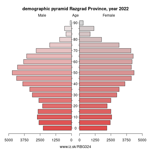 demographic pyramid BG324 Razgrad Province