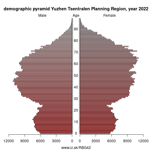 demographic pyramid BG42 Yuzhen Tsentralen Planning Region