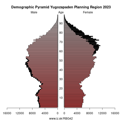 demographic pyramid BG42 Yugozapaden Planning Region