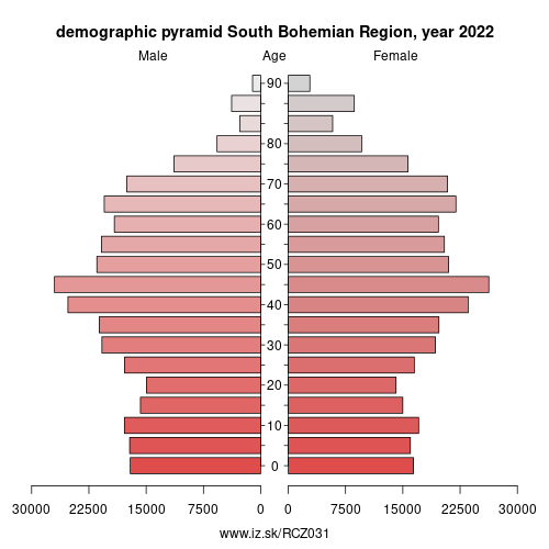 demographic pyramid CZ031 South Bohemian Region